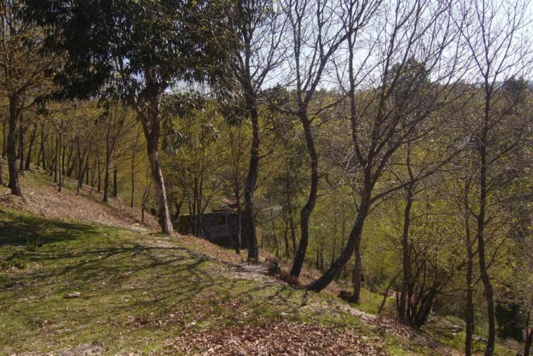 Negócio para Venda em Cantelães Foto 8