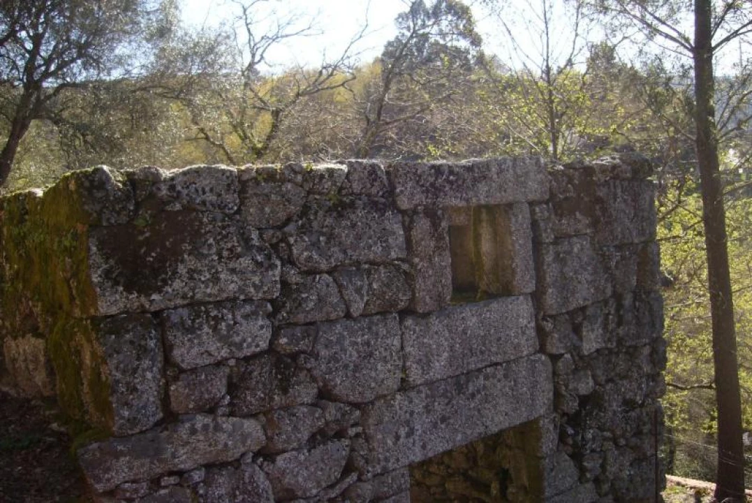 Negócio para Venda em Cantelães Foto 10