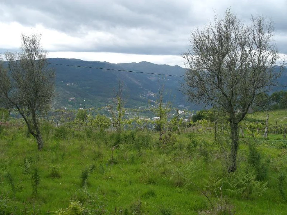 Terreno para Venda em Caniçada e Soengas Foto 7
