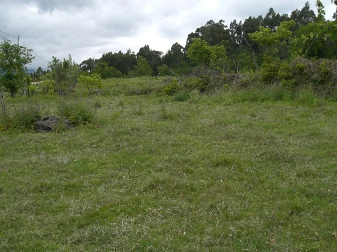 Terreno para Venda em Caniçada e Soengas Foto 1