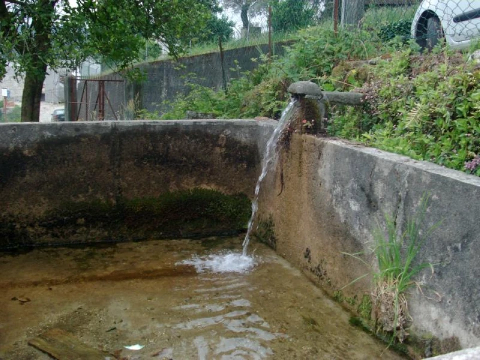 Terreno para Venda em Esperança e Brunhais Foto 13