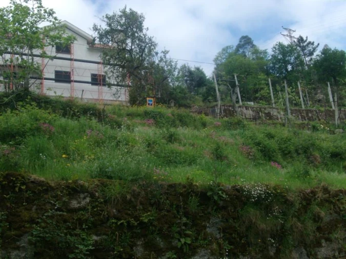 Terreno para Venda em Esperança e Brunhais Foto 18