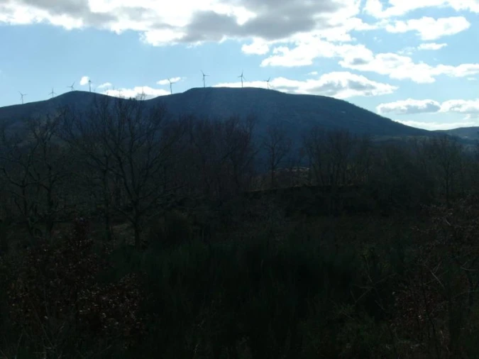 Terreno Agricola ou Rústico para Venda em Ruivães e Campos Foto 7