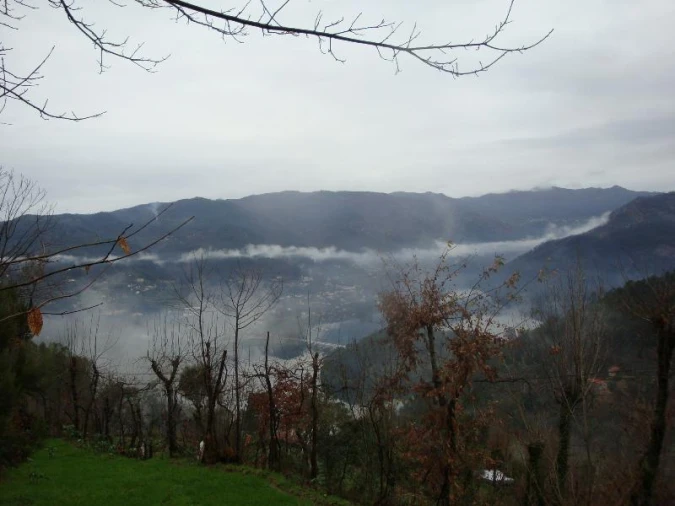 Terreno Agricola ou Rústico para Venda em Ventosa e Cova Foto 3