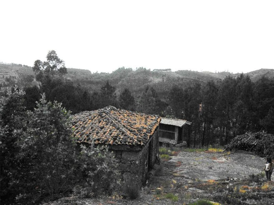 Terreno Agricola ou Rústico para Venda em Anissó e Soutelo Foto 4