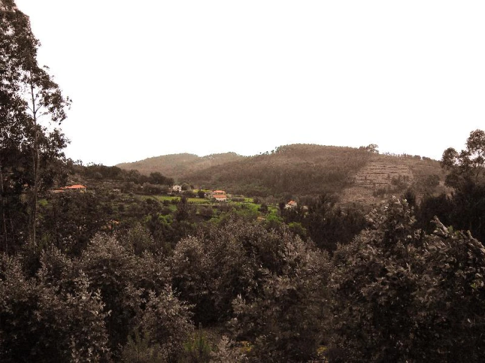 Terreno Agricola ou Rústico para Venda em Anissó e Soutelo Foto 7