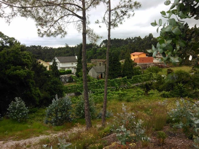 Terreno Agricola ou Rústico para Venda em Anissó e Soutelo Foto 3