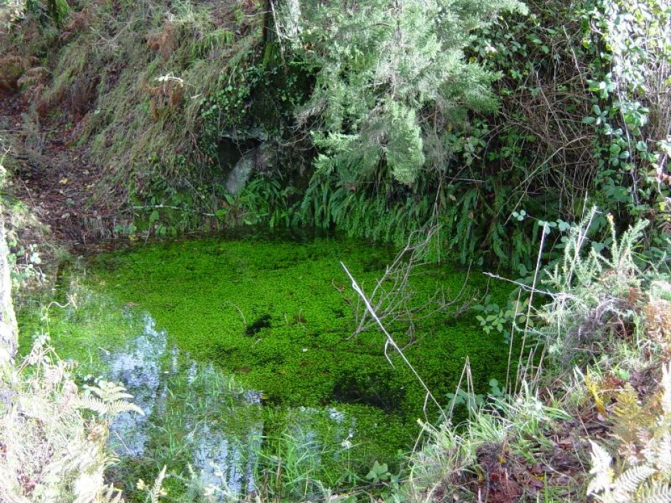 Negócio para Venda em Anissó e Soutelo Foto 6