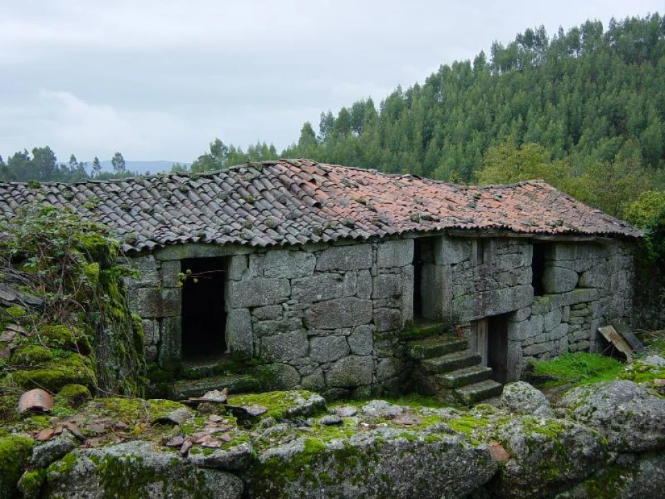 Negócio para Venda em Anissó e Soutelo Foto 8