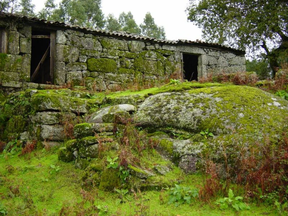 Negócio para Venda em Anissó e Soutelo Foto 16