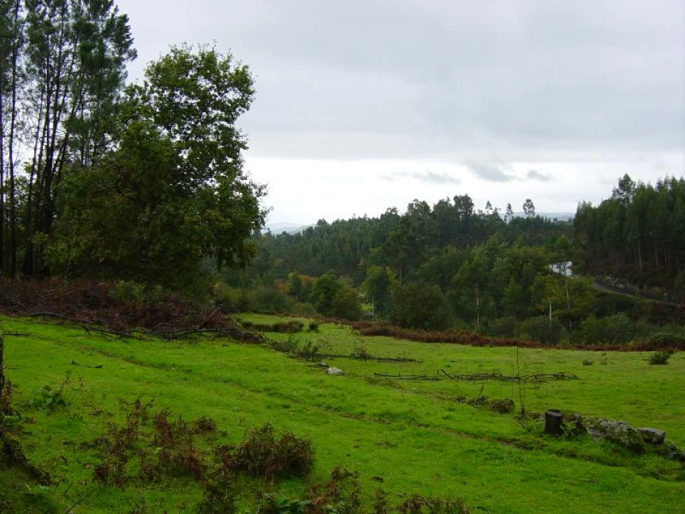 Negócio para Venda em Anissó e Soutelo Foto 20