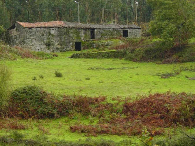 Negócio para Venda em Anissó e Soutelo Foto 4