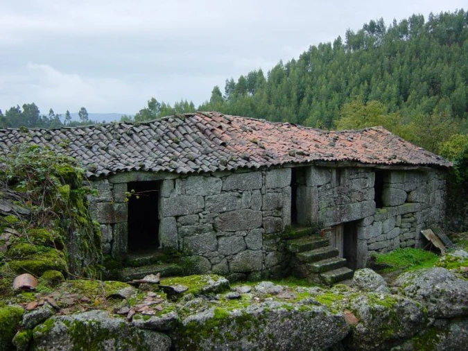 Negócio para Venda em Anissó e Soutelo Foto 8