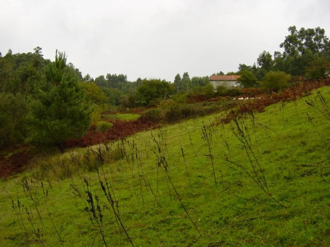 Negócio para Venda em Anissó e Soutelo Foto 9