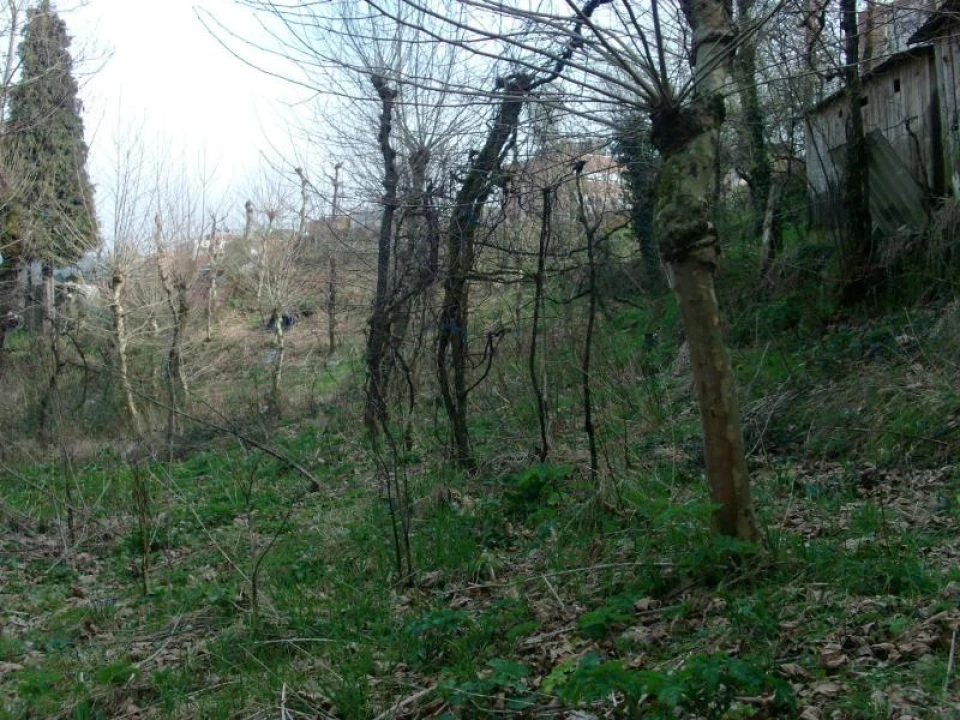 Terreno Agricola ou Rústico para Venda em Vieira do Minho Foto 7