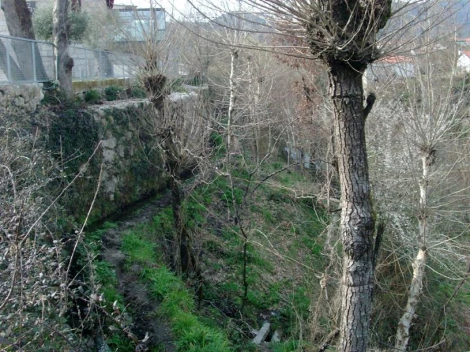 Terreno Agricola ou Rústico para Venda em Vieira do Minho Foto 6