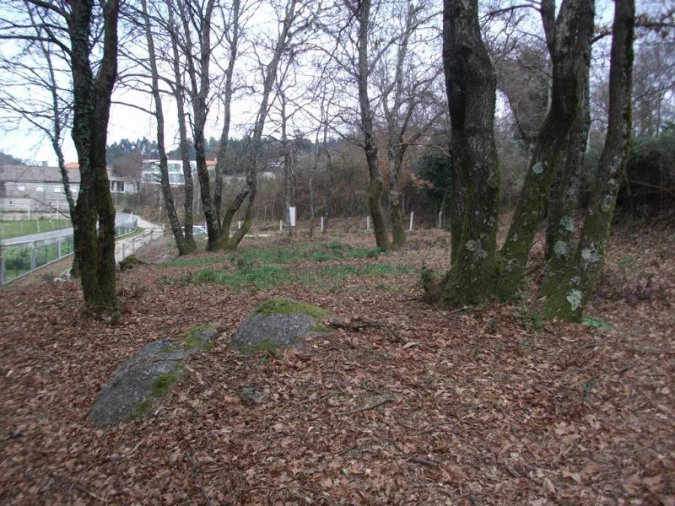 Terreno Agricola ou Rústico para Venda em Serzedelo Foto 2