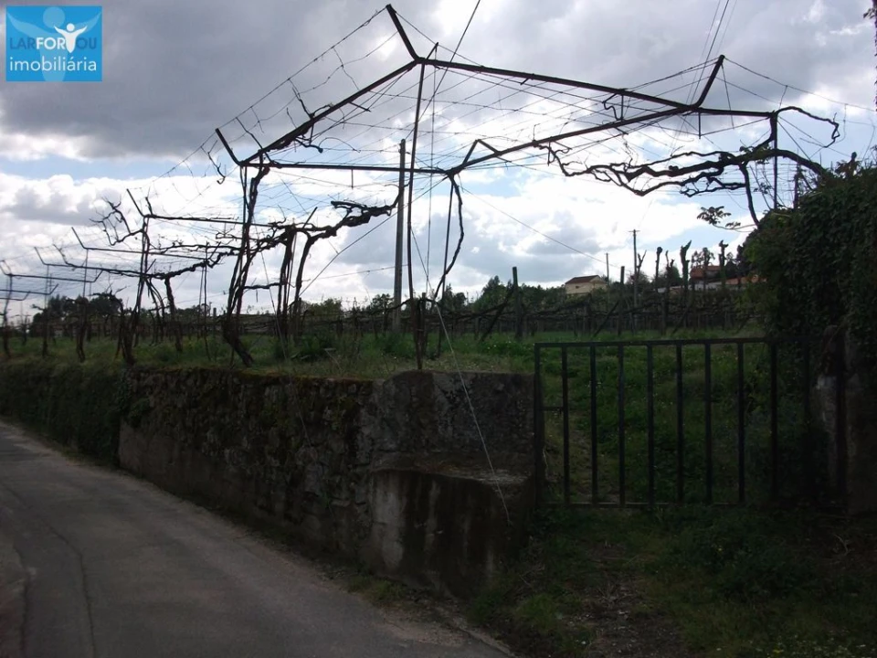 Terreno Agricola ou Rústico para Venda em Campos e Louredo Foto 4
