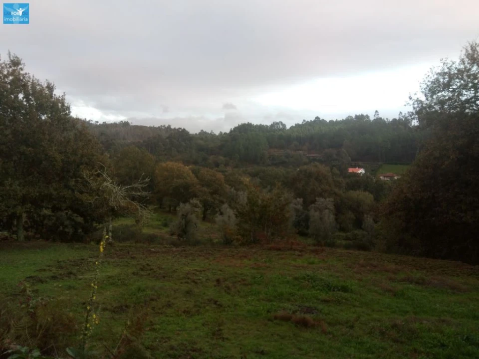 Moradia T4 para Venda em Fonte Arcada e Oliveira Foto 10