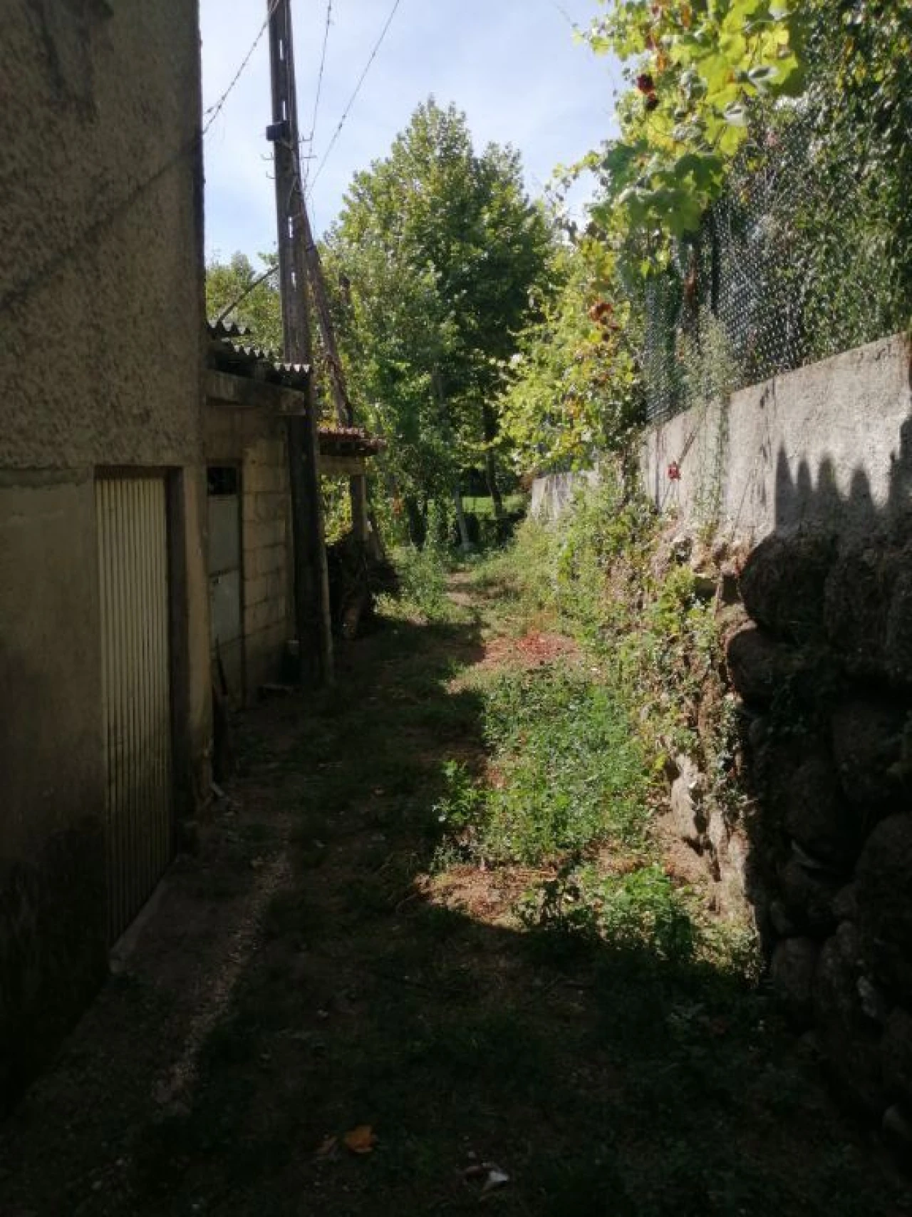 Terreno Agricola ou Rústico para Venda em Fonte Arcada e Oliveira Foto 1