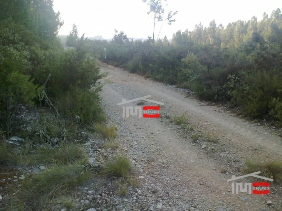 Terreno Misto para Venda em Fatima Foto 3