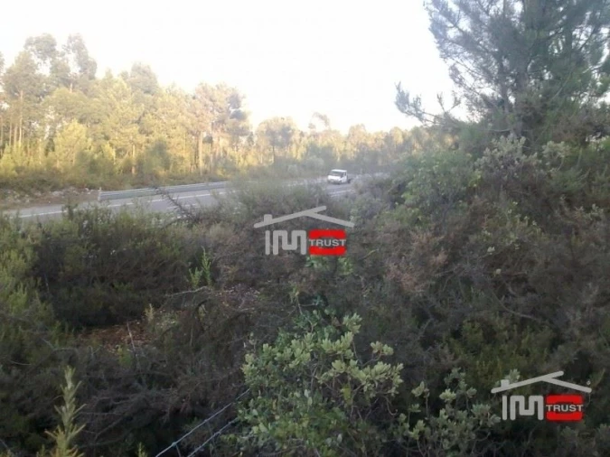 Terreno Misto para Venda em Fatima Foto 5