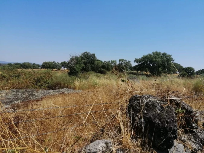 Terreno Agricola ou Rústico para Venda em Alpalhão Foto 1