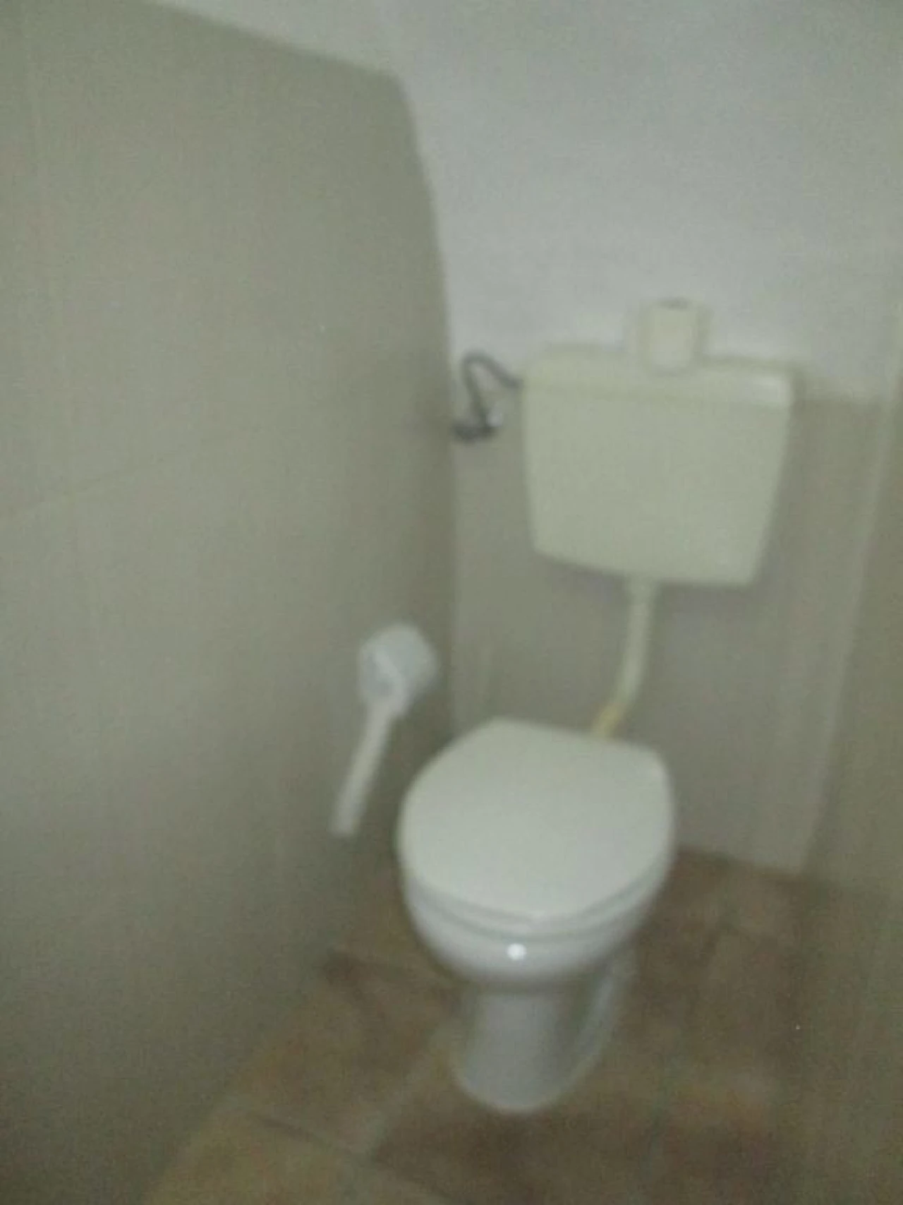 Moradia T4 para Venda em Assunção, Ajuda, Salvador e Santo Ildefonso Foto 8