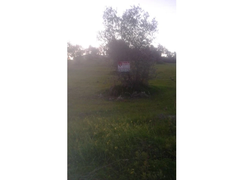 Terreno Agricola ou Rústico para Venda em Montargil Foto 1