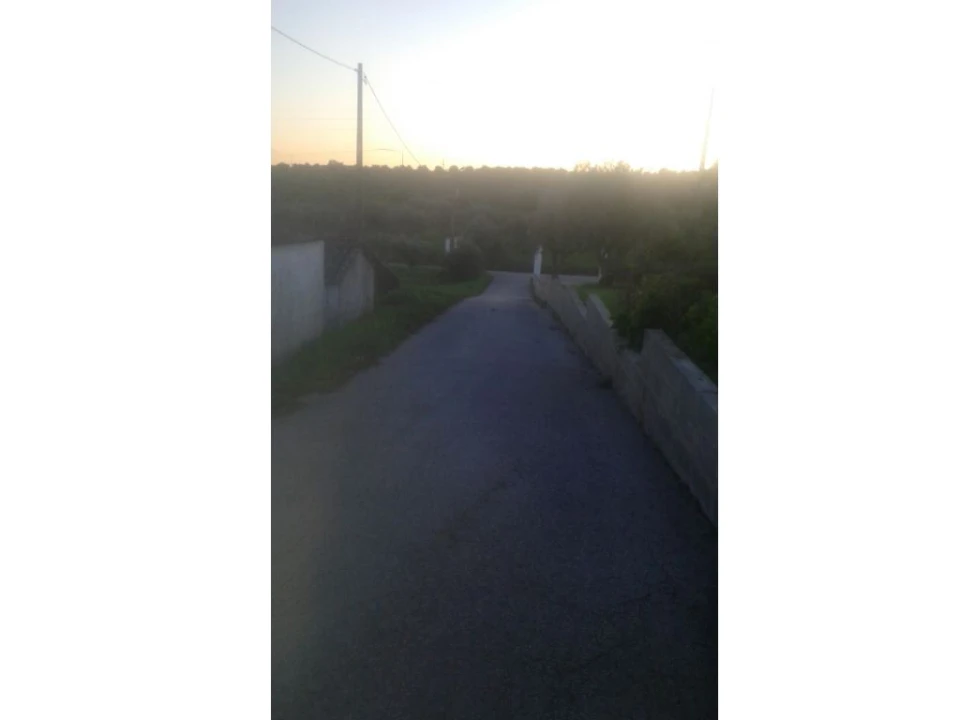 Terreno Agricola ou Rústico para Venda em Montargil Foto 5