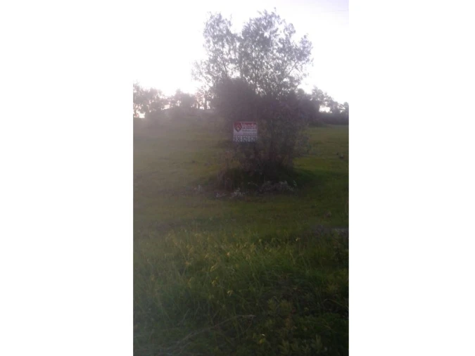 Terreno Agricola ou Rústico para Venda em Montargil