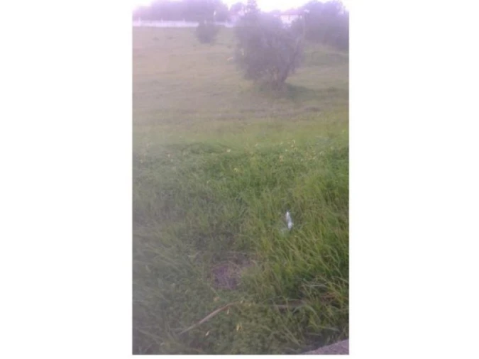 Terreno Agricola ou Rústico para Venda em Montargil Foto 2