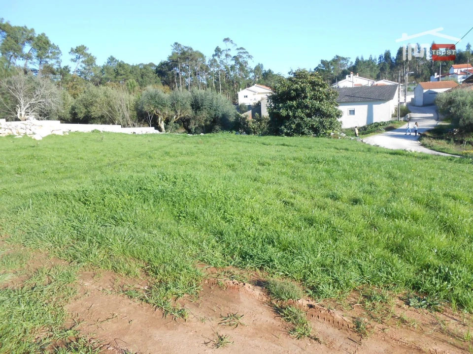 Terreno para Venda em São Mamede Foto 7