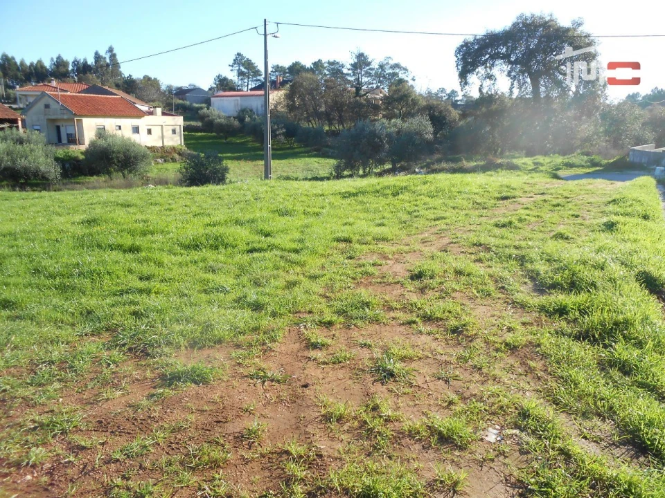 Terreno para Venda em São Mamede Foto 10