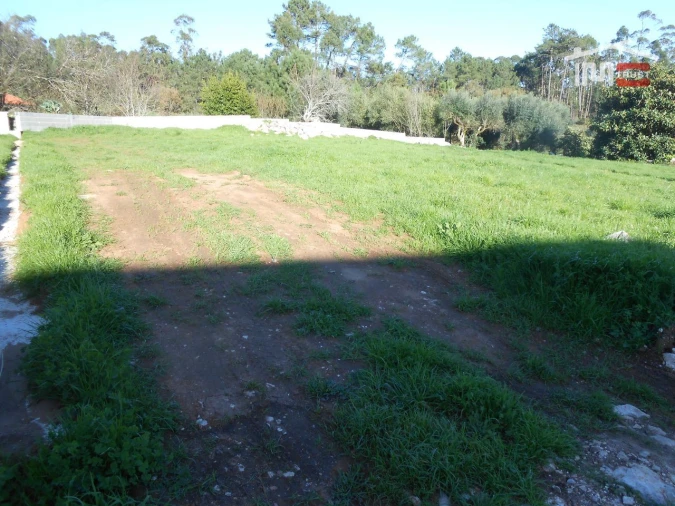 Terreno para Venda em São Mamede Foto 2