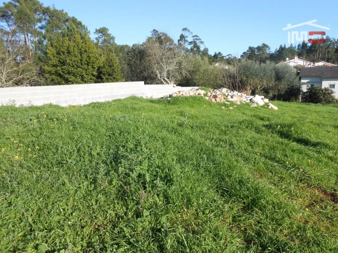 Terreno para Venda em São Mamede Foto 8