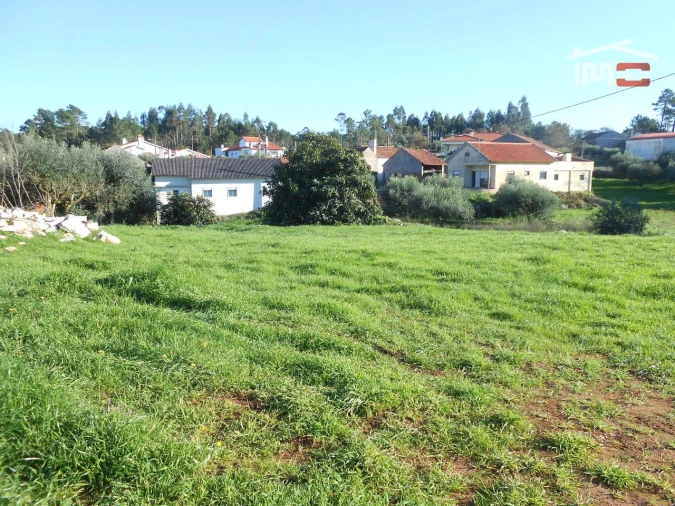 Terreno para Venda em São Mamede Foto 9