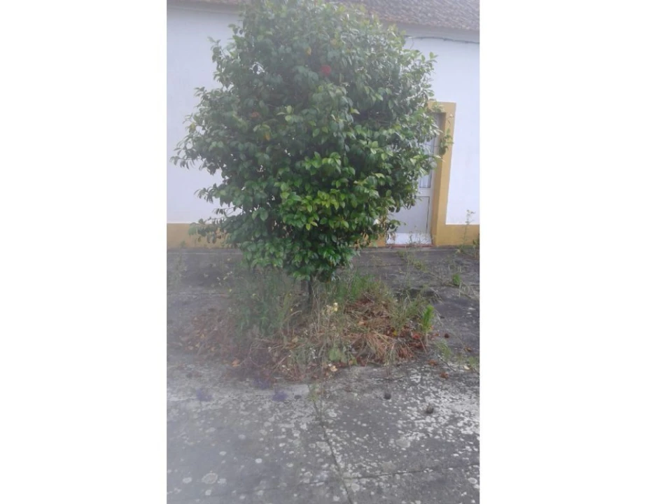 Moradia T3 para Venda em Cabrela Foto 23