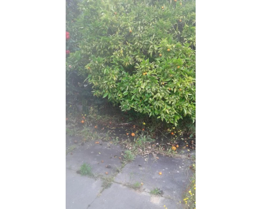 Moradia T3 para Venda em Cabrela Foto 24