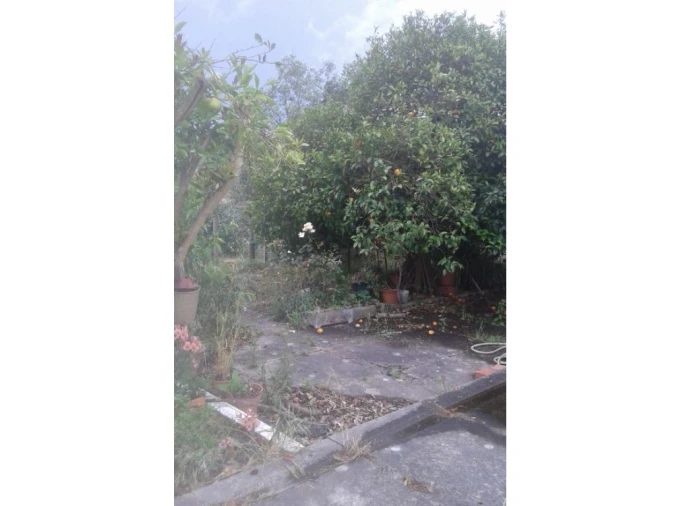 Moradia T3 para Venda em Cabrela Foto 22