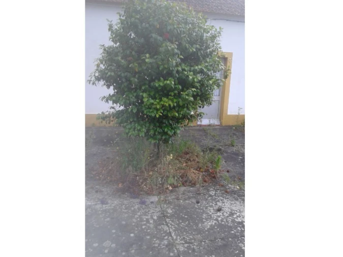 Moradia T3 para Venda em Cabrela Foto 23