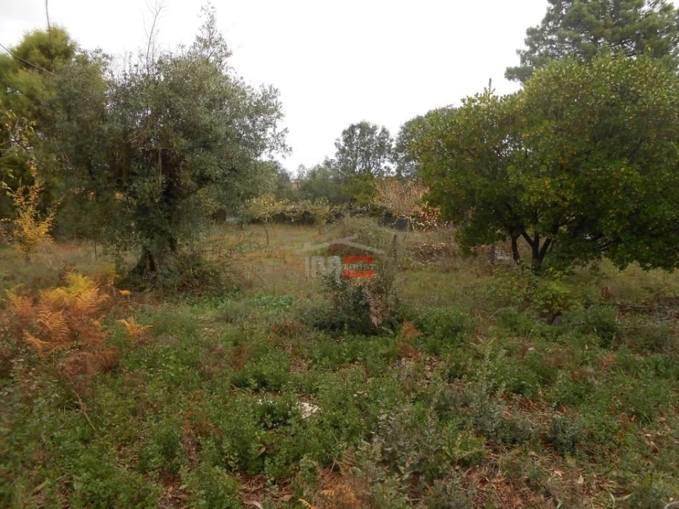 Terreno Misto para Venda em Fatima Foto 4