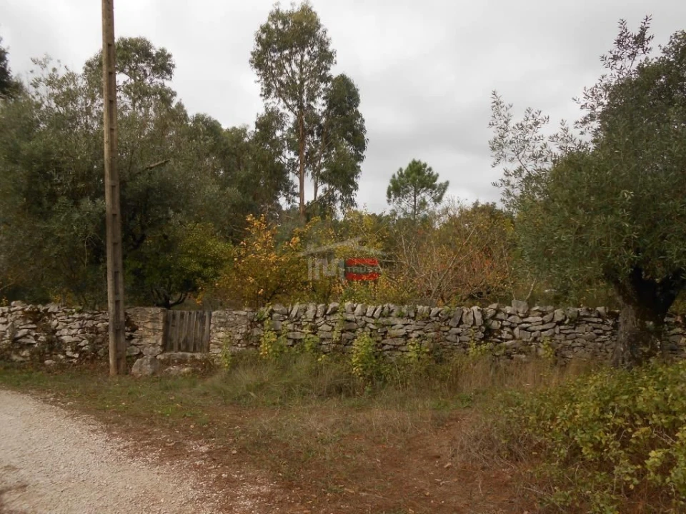 Terreno Misto para Venda em Fatima Foto 10