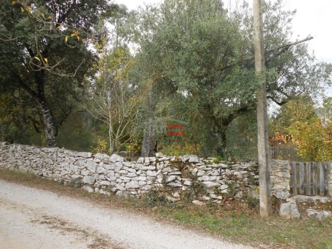 Terreno Misto para Venda em Fatima Foto 9