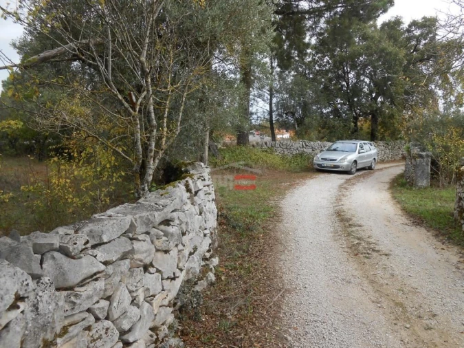 Terreno Misto para Venda em Fatima Foto 11