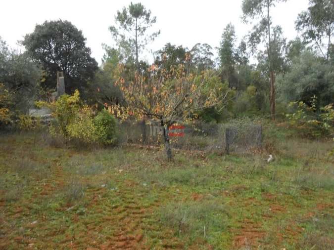 Terreno Misto para Venda em Fatima Foto 13