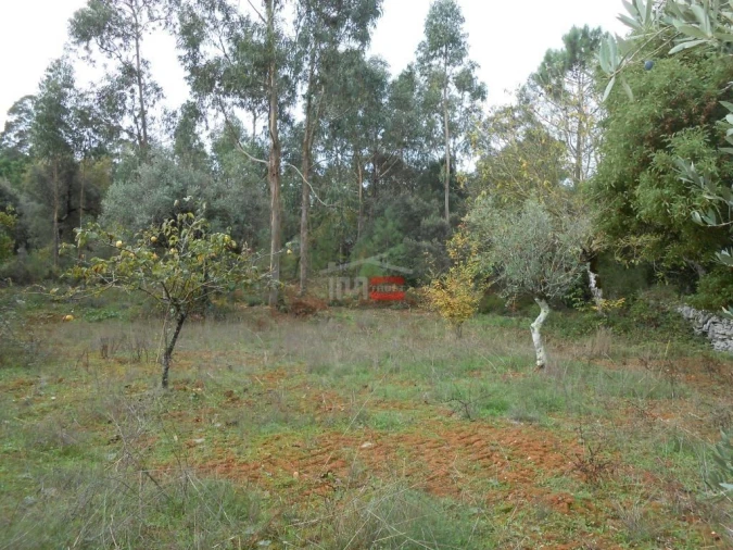 Terreno Misto para Venda em Fatima Foto 14