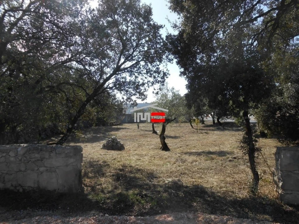 Terreno Misto para Venda em Fatima Foto 4