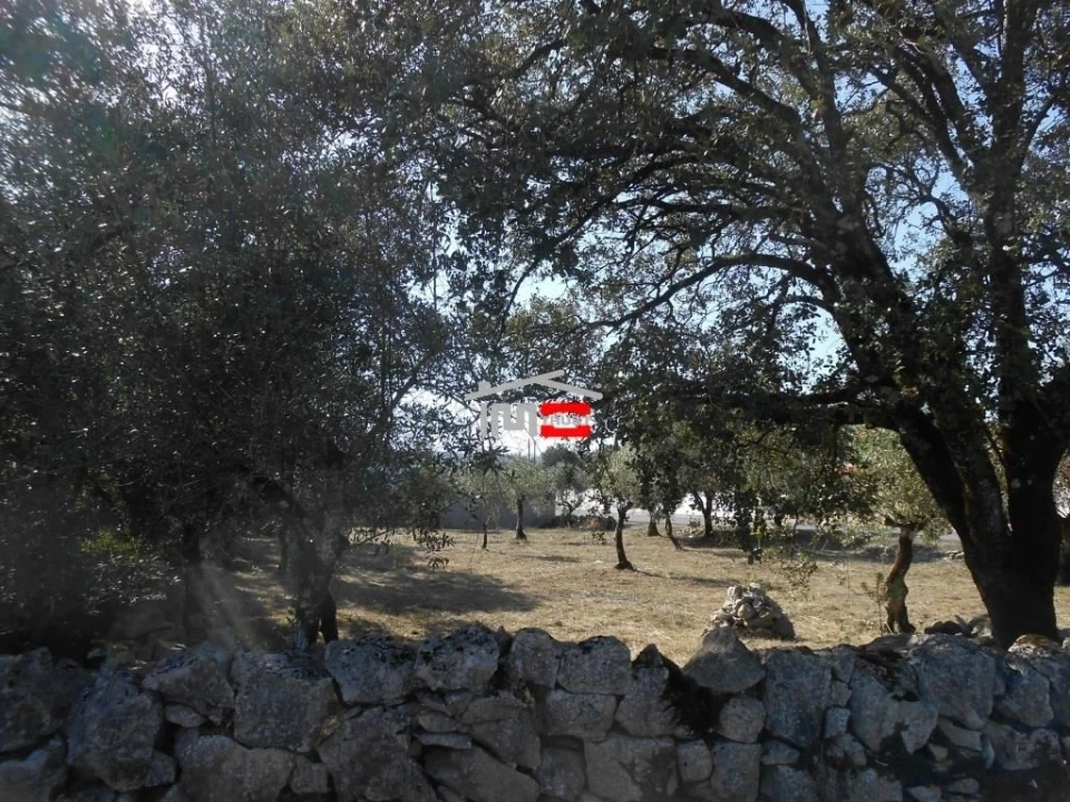 Terreno Misto para Venda em Fatima Foto 5