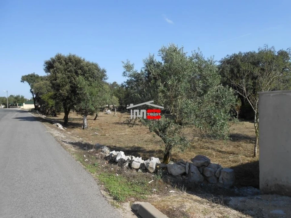 Terreno Misto para Venda em Fatima Foto 8